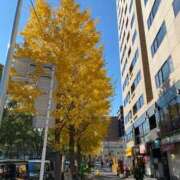 ヒメ日記 2024/12/17 23:43 投稿 かおるこ 丸妻 横浜本店