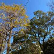 ヒメ日記 2024/12/21 15:26 投稿 かおるこ 丸妻 横浜本店