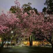 ヒメ日記 2025/03/11 18:49 投稿 かおるこ 丸妻 横浜本店