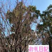 ヒメ日記 2025/03/15 08:06 投稿 かおるこ 丸妻 横浜本店