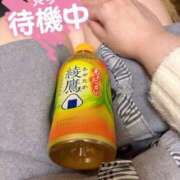 ヒメ日記 2026/02/09 15:13 投稿 かおるこ 丸妻 横浜本店