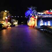 ヒメ日記 2024/12/21 10:00 投稿 向井 熟女待機所 厚木店