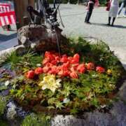 ヒメ日記 2024/12/24 15:45 投稿 向井 熟女待機所 厚木店