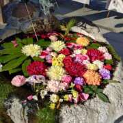 ヒメ日記 2025/01/06 09:48 投稿 向井 熟女待機所 厚木店