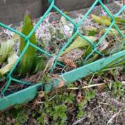 ヒメ日記 2025/03/18 08:52 投稿 向井 熟女待機所 厚木店