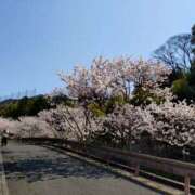 ヒメ日記 2025/03/23 11:09 投稿 向井 熟女待機所 厚木店