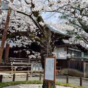 ヒメ日記 2025/03/30 14:26 投稿 向井 熟女待機所 厚木店