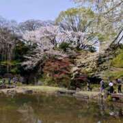 ヒメ日記 2025/04/02 09:02 投稿 向井 熟女待機所 厚木店