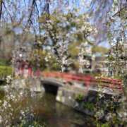 ヒメ日記 2025/04/07 08:02 投稿 向井 熟女待機所 厚木店