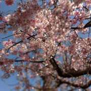 ヒメ日記 2025/04/10 22:48 投稿 向井 熟女待機所 厚木店