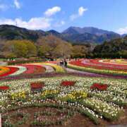 ヒメ日記 2025/04/14 07:06 投稿 向井 熟女待機所 厚木店