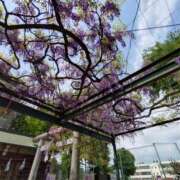 ヒメ日記 2025/04/22 20:40 投稿 向井 熟女待機所 厚木店