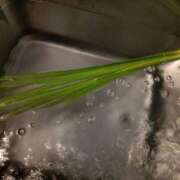 ヒメ日記 2025/05/06 20:33 投稿 向井 熟女待機所 厚木店