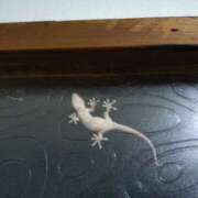 ヒメ日記 2025/05/11 10:49 投稿 向井 熟女待機所 厚木店