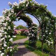 ヒメ日記 2025/05/20 21:04 投稿 向井 熟女待機所 厚木店