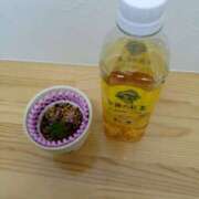 ヒメ日記 2025/05/21 14:45 投稿 向井 熟女待機所 厚木店