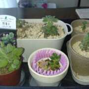 ヒメ日記 2025/05/26 09:03 投稿 向井 熟女待機所 厚木店