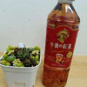 ヒメ日記 2025/06/05 15:28 投稿 向井 熟女待機所 厚木店