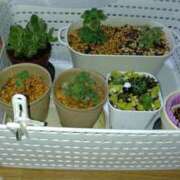 ヒメ日記 2025/06/14 12:24 投稿 向井 熟女待機所 厚木店