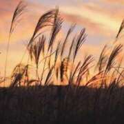 ヒメ日記 2025/06/27 10:38 投稿 向井 熟女待機所 厚木店