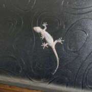 ヒメ日記 2025/07/13 20:38 投稿 向井 熟女待機所 厚木店