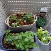 ヒメ日記 2025/07/18 06:28 投稿 向井 熟女待機所 厚木店