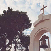 ヒメ日記 2025/08/14 09:46 投稿 向井 熟女待機所 厚木店