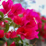 ヒメ日記 2025/08/22 20:58 投稿 向井 熟女待機所 厚木店