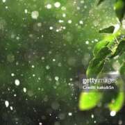 ヒメ日記 2025/09/05 08:36 投稿 向井 熟女待機所 厚木店