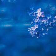 ヒメ日記 2025/09/05 15:26 投稿 向井 熟女待機所 厚木店