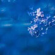 ヒメ日記 2025/09/05 15:44 投稿 向井 熟女待機所 厚木店