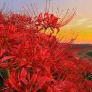 ヒメ日記 2025/09/23 08:05 投稿 向井 熟女待機所 厚木店