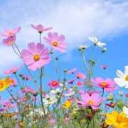 ヒメ日記 2025/09/25 08:25 投稿 向井 熟女待機所 厚木店