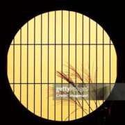 ヒメ日記 2025/10/05 19:09 投稿 向井 熟女待機所 厚木店