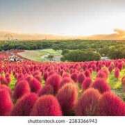 ヒメ日記 2025/10/06 07:35 投稿 向井 熟女待機所 厚木店