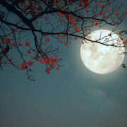 ヒメ日記 2025/10/07 10:06 投稿 向井 熟女待機所 厚木店