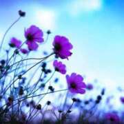 ヒメ日記 2025/10/09 20:52 投稿 向井 熟女待機所 厚木店