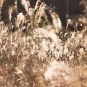 ヒメ日記 2025/10/14 08:00 投稿 向井 熟女待機所 厚木店