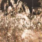 ヒメ日記 2025/10/14 08:06 投稿 向井 熟女待機所 厚木店