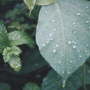 ヒメ日記 2025/10/22 08:06 投稿 向井 熟女待機所 厚木店