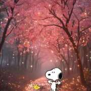 ヒメ日記 2025/11/11 22:46 投稿 向井 熟女待機所 厚木店