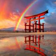 ヒメ日記 2025/11/20 20:16 投稿 向井 熟女待機所 厚木店