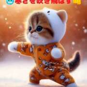 ヒメ日記 2025/11/21 08:45 投稿 向井 熟女待機所 厚木店