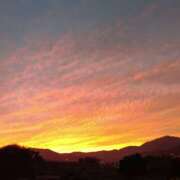 ヒメ日記 2025/11/25 08:27 投稿 向井 熟女待機所 厚木店