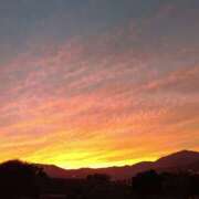 ヒメ日記 2025/11/25 08:45 投稿 向井 熟女待機所 厚木店