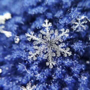 ヒメ日記 2025/12/10 21:59 投稿 向井 熟女待機所 厚木店