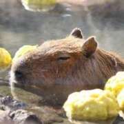 ヒメ日記 2025/12/22 07:45 投稿 向井 熟女待機所 厚木店