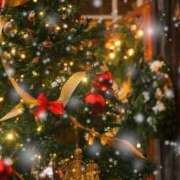 ヒメ日記 2025/12/23 22:05 投稿 向井 熟女待機所 厚木店