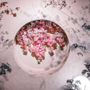 ヒメ日記 2026/01/03 10:50 投稿 向井 熟女待機所 厚木店