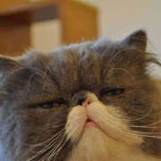 ヒメ日記 2026/01/13 19:30 投稿 向井 熟女待機所 厚木店